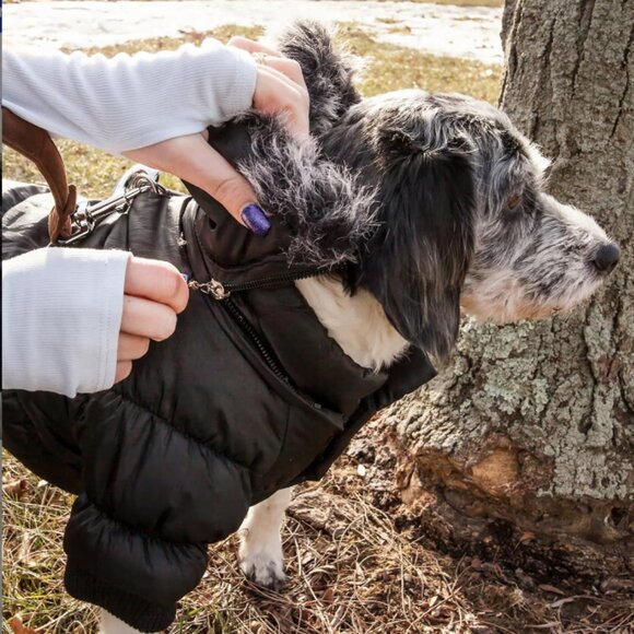 Pet Parka with 3M Thinsulate Insulation Technology - M & XL - Picture 6 of 7